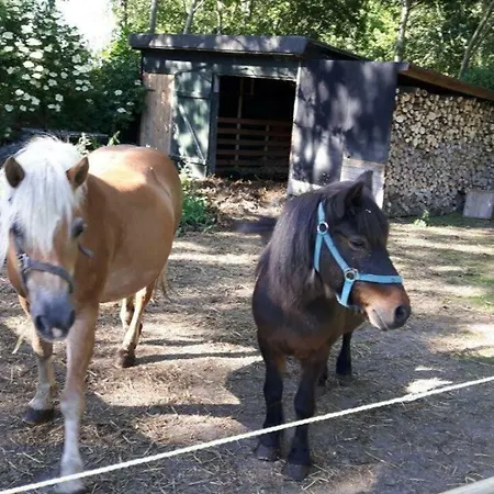 Apartament Terrassenwohnung-loenneberger-im-ferienhof-nielson Bisdorf